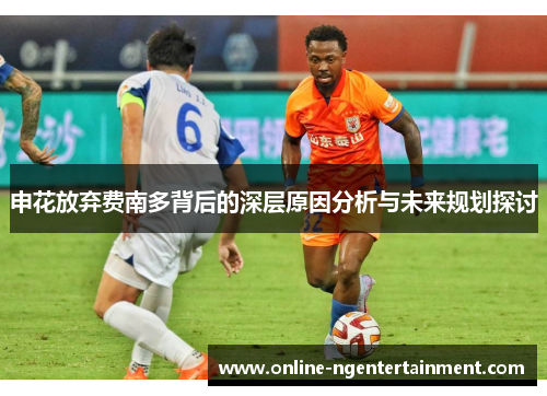 申花放弃费南多背后的深层原因分析与未来规划探讨